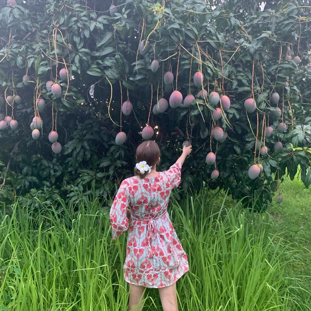 Meet your Posher, Sienna